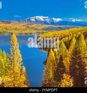 Hungry Horse Reservoir unter HerbstLärche und Gipfel der Flachkopfkette (großer Nordberg und Bergzuschuss) in der Nähe von Hungry Horse, montana Stockfoto