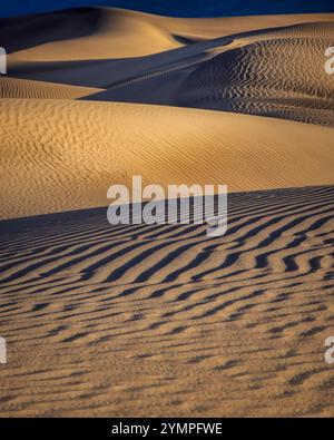 Die anmutigen Wellen und die weiten Konturen der Mesquite Flat Sand Dunes im Death Valley, Kalifornien, zeigen das Zusammenspiel von Licht und Schatten. Stockfoto