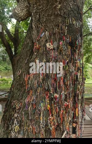 Banles und Schmuckstücke, die an den Killing Tree in Choeung Ek Killing Fields gebunden sind Stockfoto