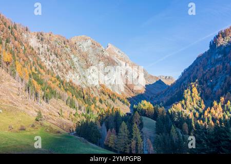 Weiler Hinterbichl, Dorferbachtal Prägraten am Großvenediger Osttirol, Osttirol Tirol, Tirol Österreich Stockfoto