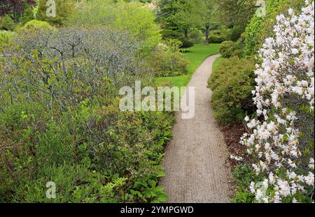 Der Pfad im Asticou Azalea Garten, Maine Stockfoto