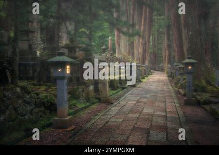 Odo-in Friedhof in Koyasan Japan Stockfoto