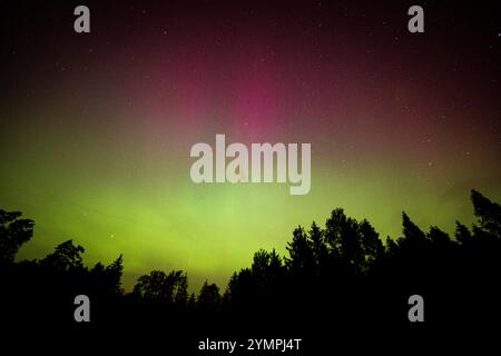 Nachthimmel mit Nordlichtern. Aurora über Wald. Stockfoto