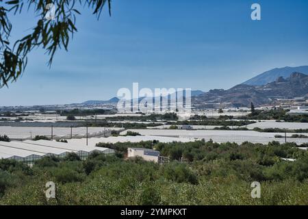 Griechenland, Greee, Kreta, Ierapetra, Land, Gewaechshaus, Gemuese, Gemüse, Gewächshaus, Stockfoto