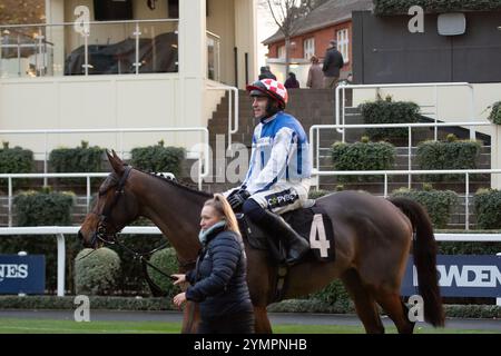 Ascot, Berkshire, Großbritannien. November 2024. KDEUX SAINT FRAY, geritten von Jockey Jonathan Burke, gewinnt das nicht vergessene Open National Hunt Flat Race (Klasse 3) (Kategorie 1 Elimination) (GBB Race). Besitzer Gracehill UK & Partners, Trainer Olly Murphy, Wilmcote, Züchter Thomas Keating, Sponsor Motoclan. Quelle: Maureen McLean/Alamy Live News Stockfoto