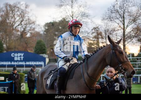 Ascot, Berkshire, Großbritannien. November 2024. KDEUX SAINT FRAY, geritten von Jockey Jonathan Burke, gewinnt das nicht vergessene Open National Hunt Flat Race (Klasse 3) (Kategorie 1 Elimination) (GBB Race). Besitzer Gracehill UK & Partners, Trainer Olly Murphy, Wilmcote, Züchter Thomas Keating, Sponsor Motoclan. Quelle: Maureen McLean/Alamy Live News Stockfoto