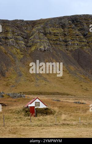 Sehr kleines Haus mit rotem Dach unter einem massiven Berg. Gelbes, teils grünes Gras im Herbst. Bewölkter Himmel. Narfeyri, West Island, Halbinsel SNA Stockfoto