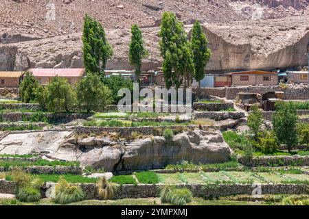 Terrassenzucht in Caspana, einem kleinen Dorf in einer Oase in der Atacama-Wüste im Norden Chiles. Stockfoto