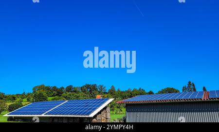 Viele Photovoltaikpaneele auf den Dächern landwirtschaftlicher Gebäude. Im Hintergrund - die Gipfel der grünen Bäume und der blaue Himmel. Autonome Elektrizität Stockfoto