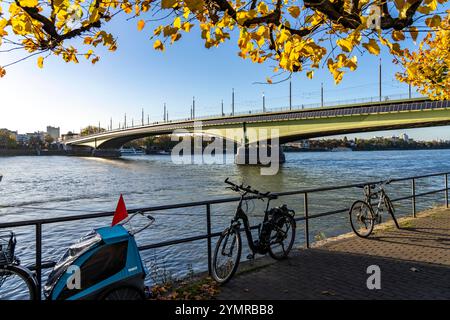 Die Kennedy-Brücke, die Mitte der drei Rheinbrücken, verbindet das Zentrum von Bonn mit dem Stadtteil Beuel, Bundesstraße B56, Stadtbahnlinien und Stockfoto