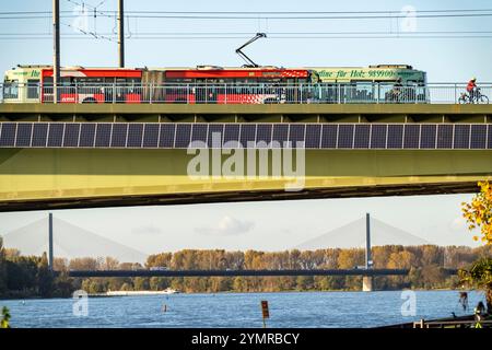 Die Kennedy-Brücke, die Mitte der drei Rheinbrücken Bonns, verbindet das Zentrum von Bonn mit dem Beuel-Bezirk, die Bundesstraße B56, Stadtbahnlinien und f Stockfoto