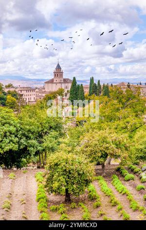 Vertikaler Blick auf den Alhambra-Palast und den Festungskomplex in Granada, Andalusien, Spanien Stockfoto