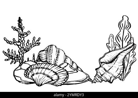 Meeresbodenlandschaft mit Muscheln und Algen. Unterwasser-Designvorlage Zeichnung im Strichstil. Handgezeichnete Vektorillustration der Untersee: Algen Stock Vektor