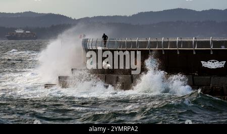 Victoria, British Columbia, Kanada, 22. November 2024 - Wellen, die von starken Winden aufgepeitscht werden, stürzen über Fußgänger und Jogger am Ogden Point Breakwater in Victoria, BC, Kanada, als sich ein herbstlicher Sturm Vancouver Island nähert. Don Denton/Alamy Live News Stockfoto