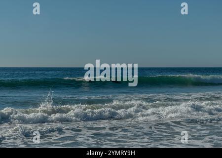 Malerische aussicht auf den Zuma Beach im Winter mit zwei Delfinen auf der Welle, Malibu, Südkalifornien Stockfoto