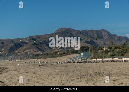 panoramablick auf den Zuma Beach im Winter mit geschlossener Rettungsstation und einer Schar Möwen im Vordergrund in Malibu, Südkalifornien Stockfoto