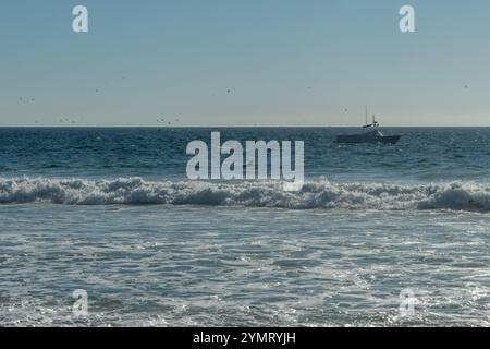 Malerische aussicht auf den Zuma Beach im Winter mit einem Delfin in der Nähe der Küste, Malibu, Südkalifornien Stockfoto