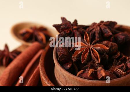 Schüssel mit aromatischem Sternanis und Zimt auf farbigem Hintergrund, Nahaufnahme Stockfoto