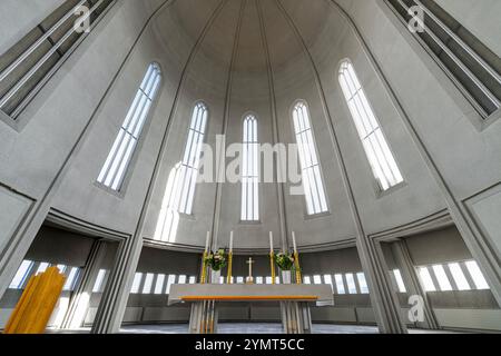 Kirche von Hallgrímur (Hallgrímskirkja). Reykjavík, Island Stockfoto