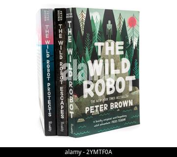 Nova Bana, Slowakei - 22. November 2024 : Buchcover der White Robot Books, geschrieben von Peter Brown. Isoliert auf weißem Hintergrund. Stockfoto