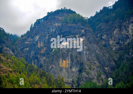 Paro Taktsang, auch bekannt als das Taktsang Palphug Kloster oder das Tigernest, befindet sich an der Klippe des oberen Paro-Tals in Bhutan Stockfoto