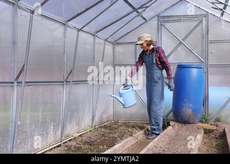 Gärtnerin bewässert aus einer Gießkanne im Frühlingsgewächshaus. Thema Landwirtschaft und Landwirtschaft Stockfoto