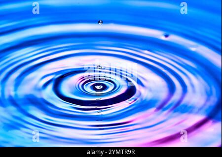 Ein Wassertropfen, der ins Wasser fällt und Wellen erzeugt Stockfoto