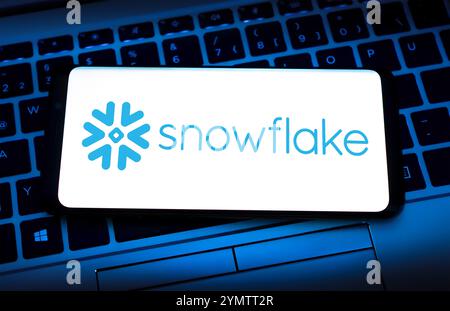 Firmenlogo von Snowflake Stockfoto