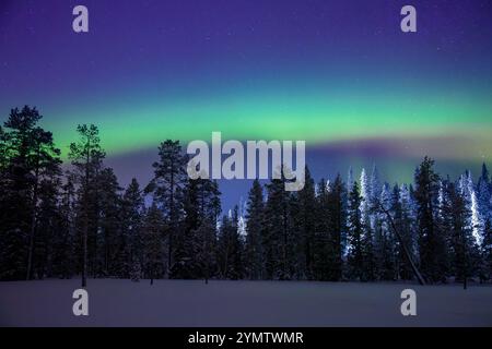 Winter Finnland. Nachtwald und viel Schnee. Sternenhimmel und Nordlichter Stockfoto