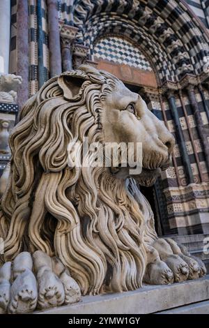 Close Up Details über die Löwenstatue und Fassade der Kathedrale St. Lorenzo (San Lorenzo) aus dem XII-XIV Jahrhundert in Genova, Ligurien, Italien 09.01.2024 Stockfoto