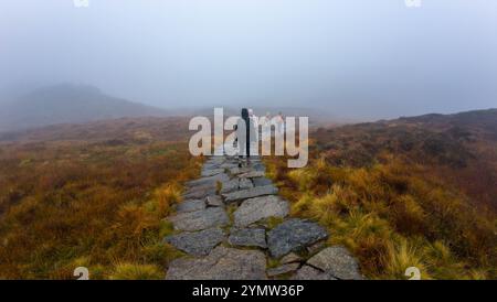 Menschen, die auf einem Steinweg durch eine nebelige, grasbewachsene Landschaft laufen. Stockfoto