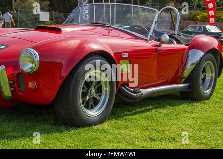 Klassischer roter Roadster mit Cobra 427, der auf einem grasbewachsenen Feld geparkt ist, möglicherweise bei einer Oldtimer-Ausstellung oder Ausstellung Stockfoto