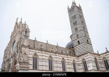 Blick auf die wunderschöne und berühmte Kathedrale aus dem 13. Jahrhundert in Siena (Duomo di Siena). Siena, Italien 07.01.2024 Stockfoto