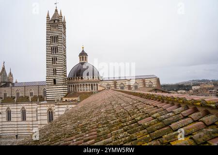 Blick von der Dachterrasse auf die wunderschöne und berühmte Kathedrale aus dem 13. Jahrhundert in Siena (Duomo di Siena). Siena, Italien 07.01.2024 Stockfoto