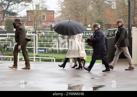 Ascot, Berkshire, Großbritannien. November 2024. Racegoer kämpften bei starkem Wind und Regen, als Storm Bert durch Großbritannien zieht, um ihre Regenschirme auf der Ascot Racecourse in Berkshire zu befestigen. Quelle: Maureen McLean/Alamy Live News Stockfoto