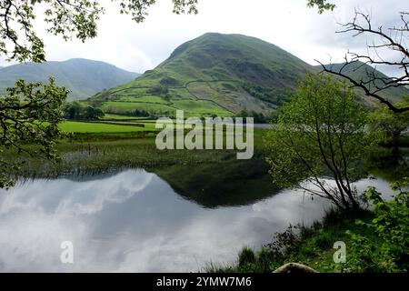 Der Wainwright „Hartsop Dodd“ spiegelt sich im Brothers Water Lake im Hartsop Valley bei Dovedale, Lake District National Park, Cumbria, England, Großbritannien. Stockfoto