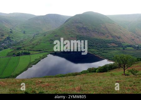 Der Wainwright „Hartsop Dodd“ spiegelt sich im Brothers Water Lake im Hartsop Valley bei Dovedale, Lake District National Park, Cumbria, England, Großbritannien. Stockfoto