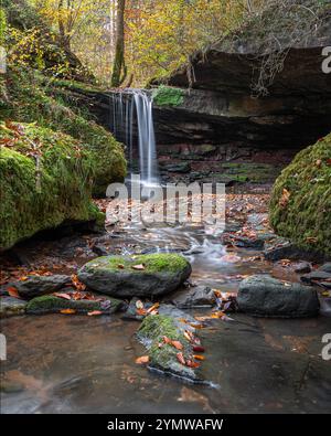 Landschaft der Eifel nahe Bitburg, Deutschland Stockfoto