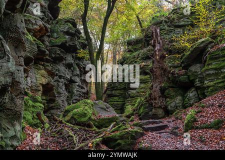 Landschaft der Eifel nahe Bitburg, Deutschland Stockfoto