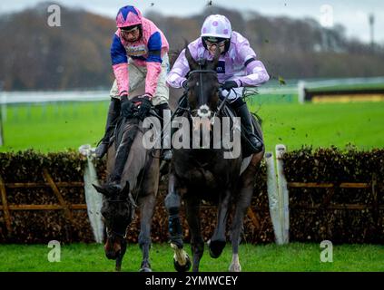 Roadlesstravelled by Jon O'Neill Jr springt die letzte Hürde, um die Betfair unterstützt die Safer Gambling Week Newton Novizen' Hürde auf der Rennbahn Haydock Park in Newton-le-Willows zu gewinnen. Bilddatum: Samstag, 23. November 2024. Stockfoto