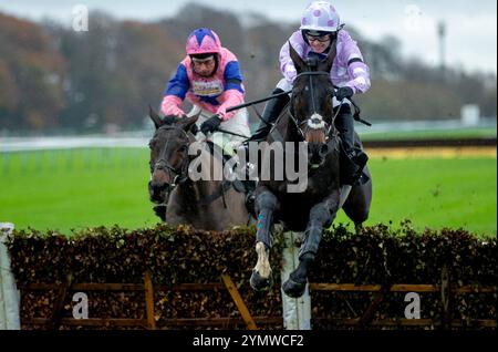 Roadlesstravelled by Jon O'Neill Jr springt die letzte Hürde, um die Betfair unterstützt die Safer Gambling Week Newton Novizen' Hürde auf der Rennbahn Haydock Park in Newton-le-Willows zu gewinnen. Bilddatum: Samstag, 23. November 2024. Stockfoto