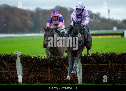 Roadlesstravelled by Jon O'Neill Jr springt die letzte Hürde, um die Betfair unterstützt die Safer Gambling Week Newton Novizen' Hürde auf der Rennbahn Haydock Park in Newton-le-Willows zu gewinnen. Bilddatum: Samstag, 23. November 2024. Stockfoto