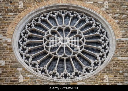 Reich verziertes Fenster an der Kathedrale von Triest (Cattedrale di San Giusto Martyre), mittelalterliche Kirche auf dem Hügel San Giusto, Triest, Italien 04.01.2024 Stockfoto