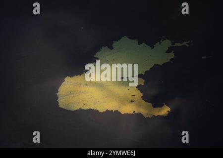 Verunreinigung durch Öl-Benzin-Wasser. Umweltkatastrophe. Glatter Industrietreibstoff, der Wasser verunreinigt. Wasser mit Benzin- und Ölflecken. Stockfoto