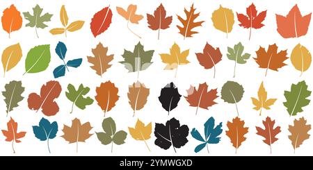 Sammlung farbenfroher Herbst- oder Herbstblätter isoliert auf weißem Hintergrund Stock Vektor