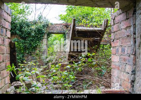 Alte Hausruine, die von Pflanzen bewachsen ist Stockfoto