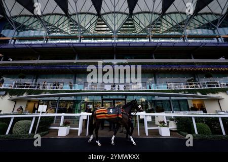 Ein Pferd wird vor der 1st Class Logistics Berkshire National Handicap Chase auf der Ascot Racecourse vorgeführt. Bilddatum: Samstag, 23. November 2024. Stockfoto