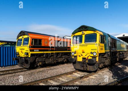 LEEDS, GROSSBRITANNIEN - 16. AUGUST 2024. Moderne Güterzuglokomotiven der Baureihe 66 der Freightliner Ltd im Midland Road Maintenance Depot warten auf Reparaturen Stockfoto