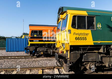 LEEDS, GROSSBRITANNIEN - 16. AUGUST 2024. Moderne Güterzuglokomotiven der Baureihe 66 der Freightliner Ltd im Midland Road Maintenance Depot warten auf Reparaturen Stockfoto