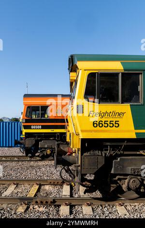 LEEDS, GROSSBRITANNIEN - 16. AUGUST 2024. Moderne Güterzuglokomotiven der Baureihe 66 der Freightliner Ltd im Midland Road Maintenance Depot warten auf Reparaturen Stockfoto